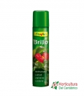 Brillo natural 