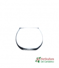 PECERA CRISTAL PEQ