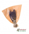 RAMO LAVANDA PRESERVADA