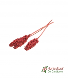 INDIAN CORN 3PC RED