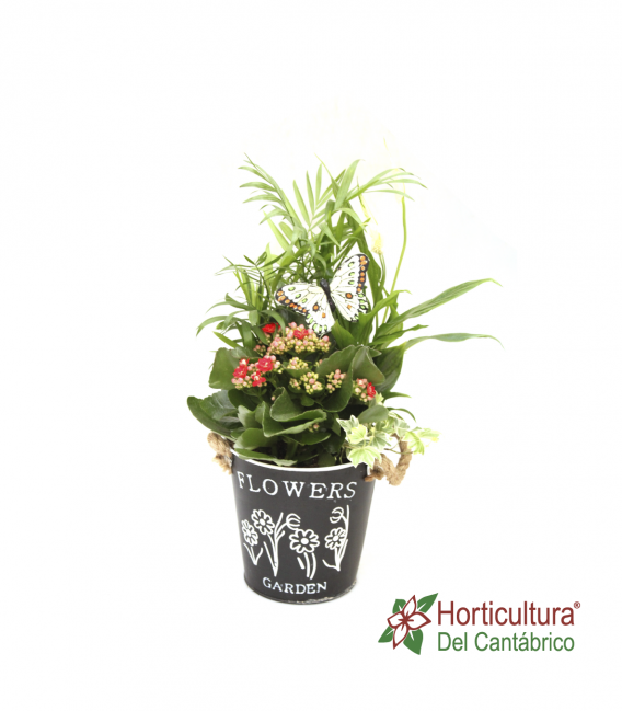 CUBO CINQ FLOWERS