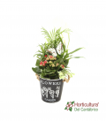 CUBO CINQ FLOWERS