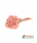 MARCELA SB PINK MISTY