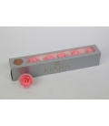 ROSA PRESERVADA BABY PINK