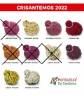 Crisantemos nacionales 2022