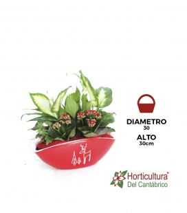 Centro de plantas navideño