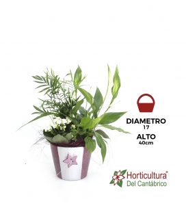 Centro de plantas navideño