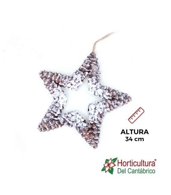 Estrella colgar pequeña