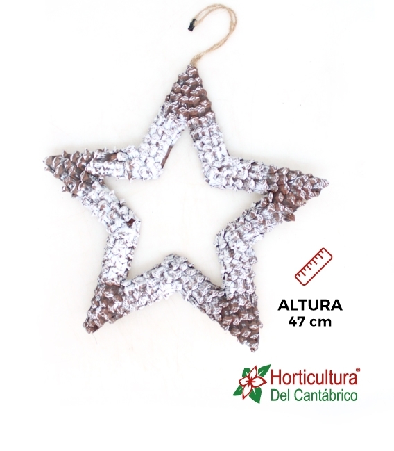Estrella colgar Grande