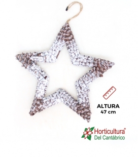 ESTRELLA COLGAR GRA