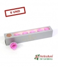 ROSA PRESERVADA BABY LILY