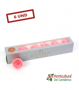 ROSA PRESERVADA BABY PINK