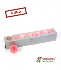 ROSA PRESERVADA BABY PINK