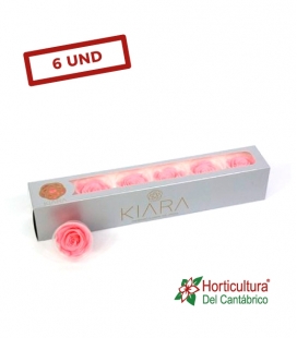 ROSA PRESERVADA BRIDAL PINK