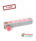 ROSA PRESERVADA BRIDAL PINK