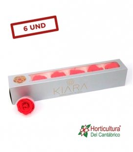 ROSA PRESERVADA HOT PINK