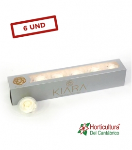 ROSA PRESERVADA PURE WHITE