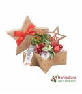 composicion navidad