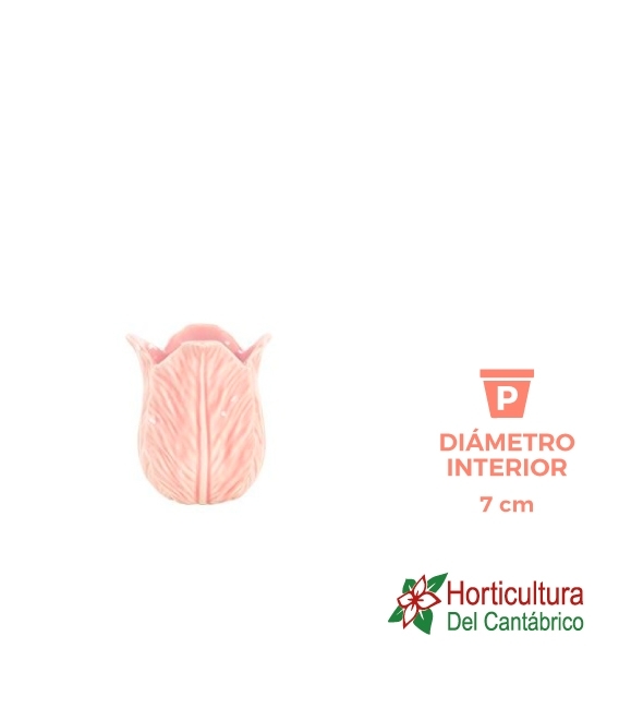 Ceramica tulipa rosa g