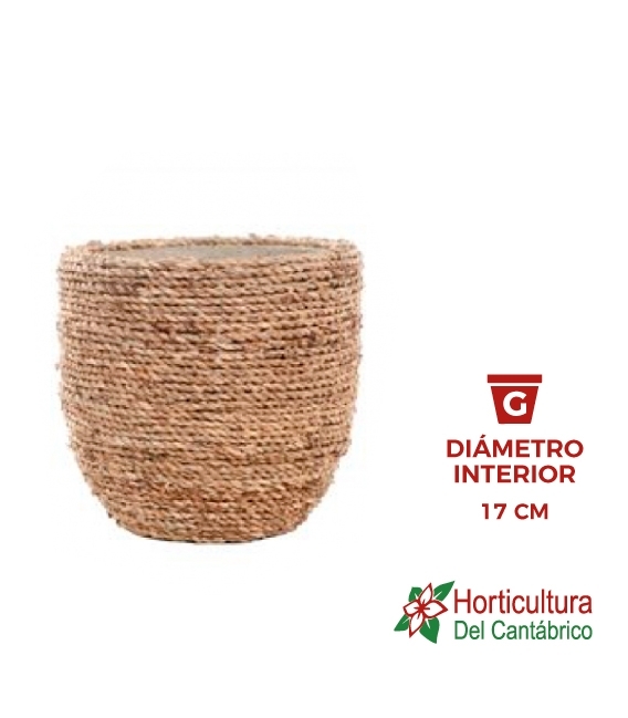 MACETA GRASS M22