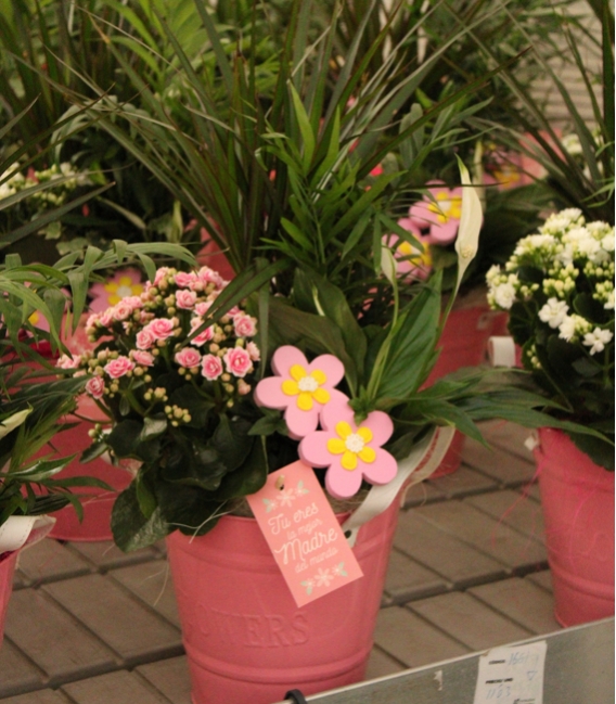 CUBO FLOWERS ROSA