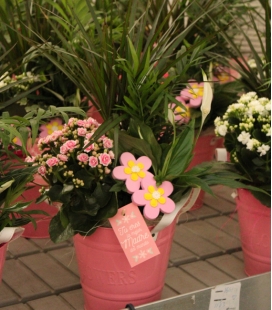 CUBO FLOWERS ROSA