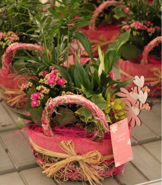 composicion con planta