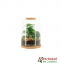 TERRARIO 90552