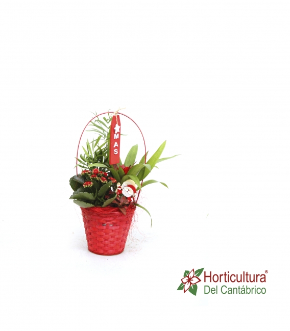 CESTA ROJA REDONDA