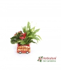 FIGURA AUTOBUS