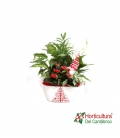 Centro de plantas navideño