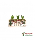 PICK CASITA NAVIDAD