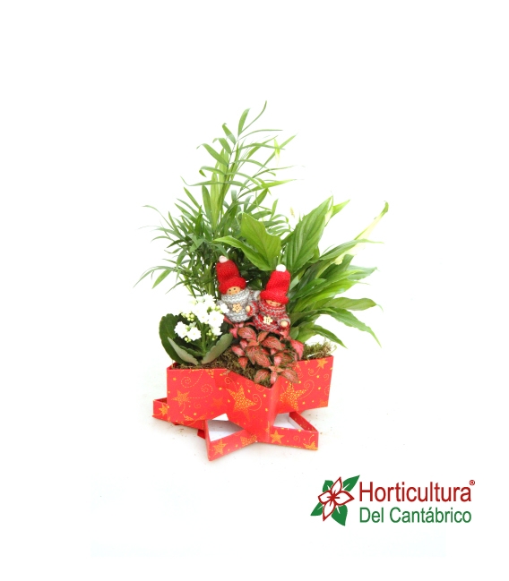 composicion navidad