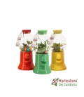 Terrario plantas