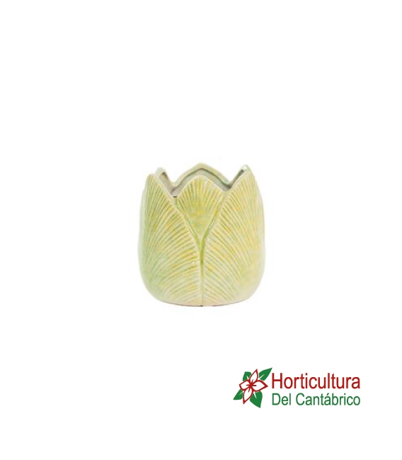 CACTUS CERAMICA M15