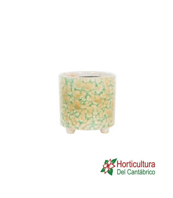 CACTUS CERAMICA M12