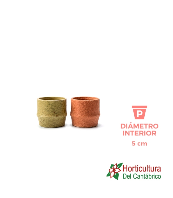 MACETA ESTRELLA