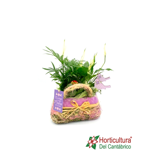 composicion con planta