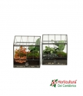 TERRARIO 91046