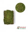 MUSGO NATURAL CAJA