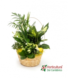 CESTA AMARILLA PASTEL