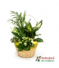CESTA AMARILLA PASTEL