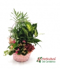 CESTA ROSA PASTEL