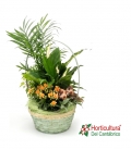 CESTA VERDE PASTEL