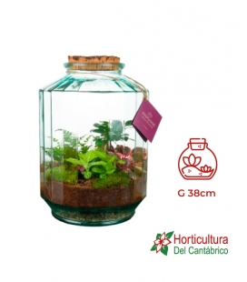 TERRARIO XL STREPE