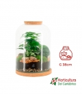 TERRARIO XL 90552