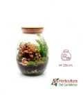 TERRARIO 8142