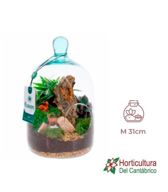 Terrario plantas