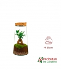 TERRARIO TRITON