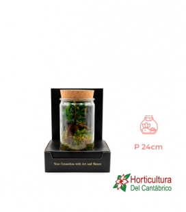 TERRARIO GINSENG CRISTAL